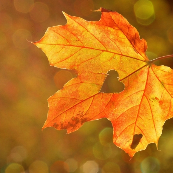 Meet your Posher 🥰 - Picture 3 of 3